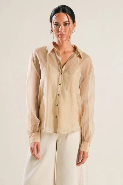 Ethereal Sheer Button-Up Blouse